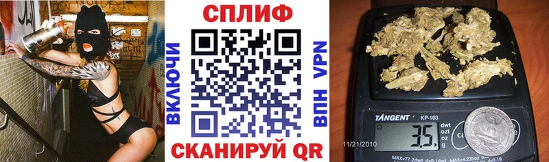 Бошки Шишки Липецк
