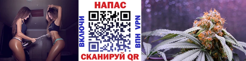 Бошки Шишки конопля  KRAKEN ссылки  Липецк 